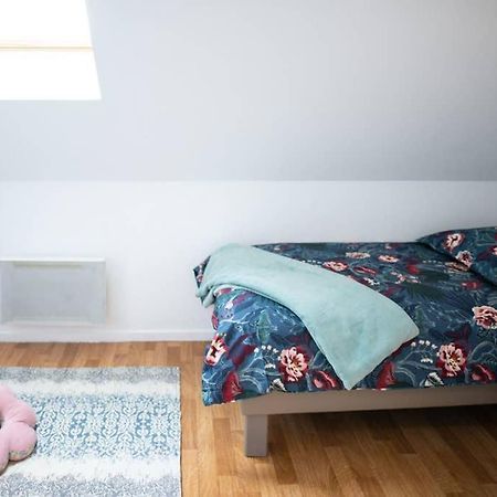 Duplex Tout Equipe, Proche Centre-Ville Colmar, Parking Eksteriør bilde